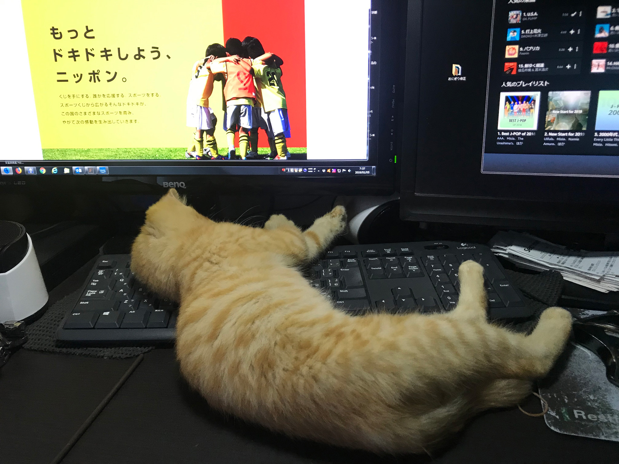 猫飼いの悩み 邪魔かわいい ドヤ顔の猫がキーボードの上で寝る問題 Carna タスカルナ ホームページ制作 札幌市 東京を中心にweb Wordpress制作
